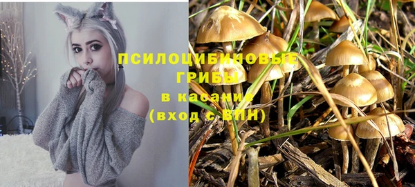 бошки Волосово